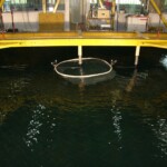 Fish farms: Experimental evaluation of global performance Fish farms: Experimental evaluation of global performance