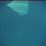 Fish farms: Experimental evaluation of global performance Fish farms: Experimental evaluation of global performance